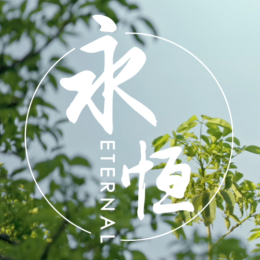 华师附中番禺小学校歌